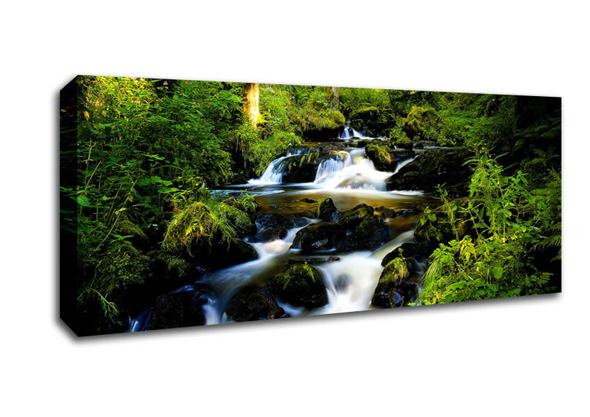 Picture of Forest Creek Panoramic Canvas Wall Art