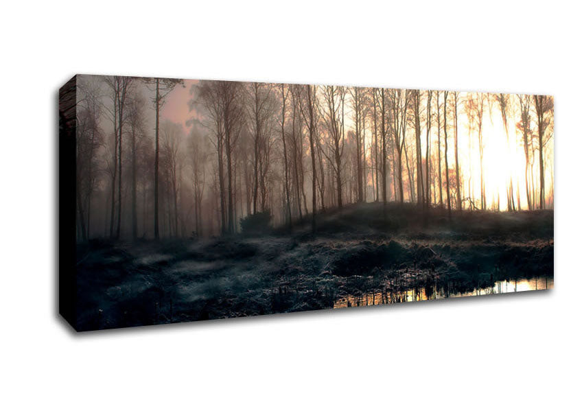 Picture of Early Morning Swamp Panoramic Canvas Wall Art