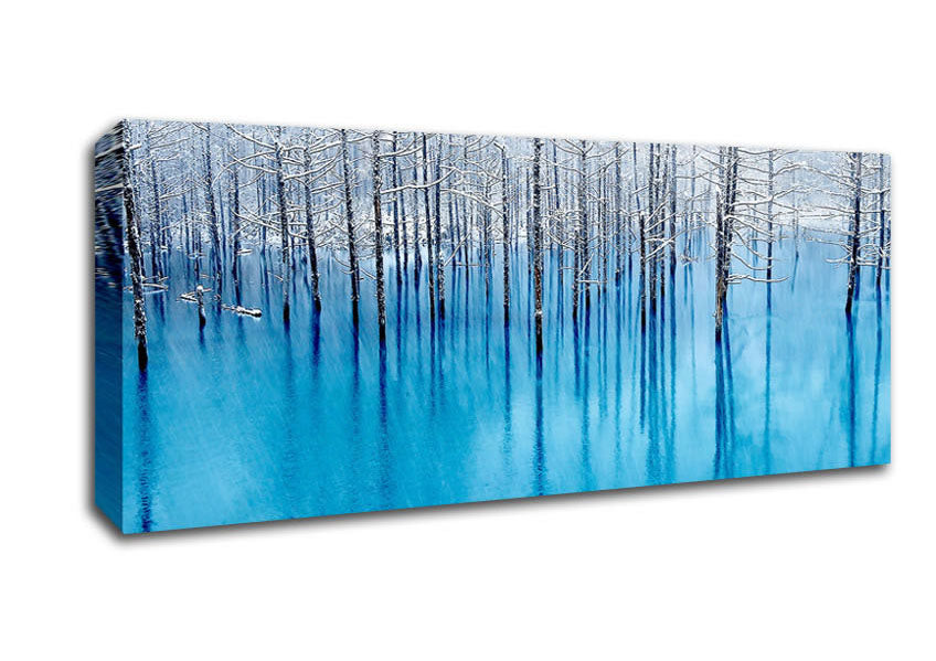 Picture of Snow Pond Panoramic Canvas Wall Art