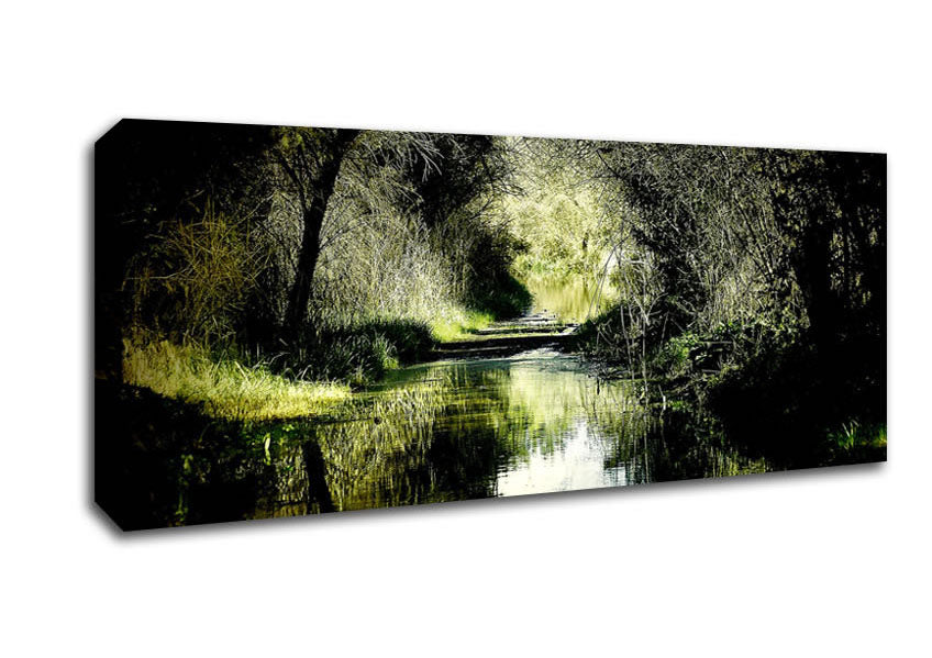 Picture of Forest Waterway Panoramic Canvas Wall Art