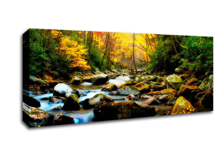 Picture of Autumn Stream Panoramic Canvas Wall Art