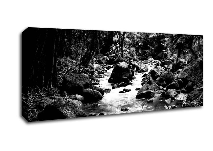 Picture of The Stream In The Woodland B n W Panoramic Canvas Wall Art