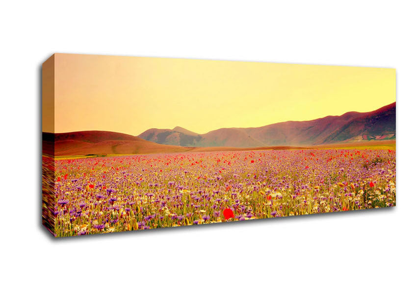 Picture of Sunny Field Of Beautiful Wild Flowers Panoramic Canvas Wall Art