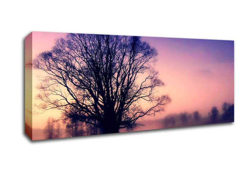 Picture of Scots Mist Panoramic Canvas Wall Art