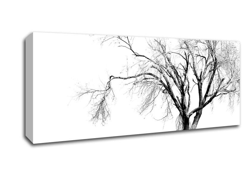 Picture of Cold Winter Tree Panoramic Canvas Wall Art