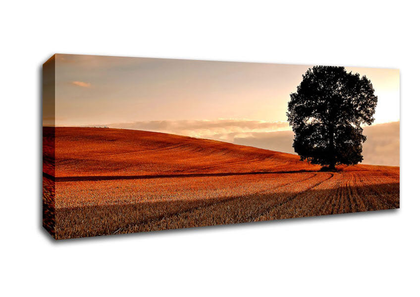 Picture of Lonesome Tree In The Field Autumn Panoramic Canvas Wall Art