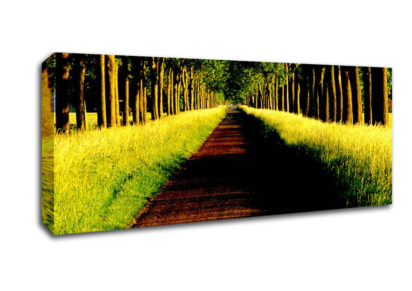 Picture of Tree Alley Panoramic Canvas Wall Art