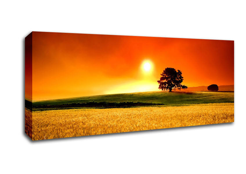 Picture of Summer Sunset Panoramic Canvas Wall Art