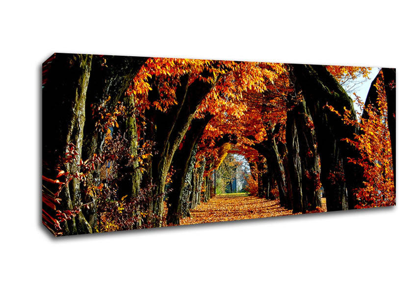 Picture of Beautiful Path Panoramic Canvas Wall Art