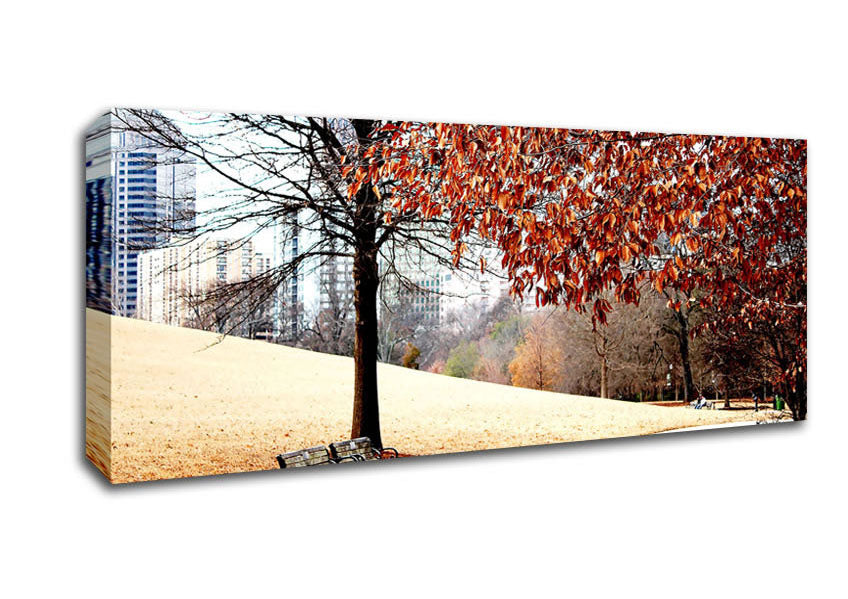 Picture of Autumn In The Park Panoramic Canvas Wall Art