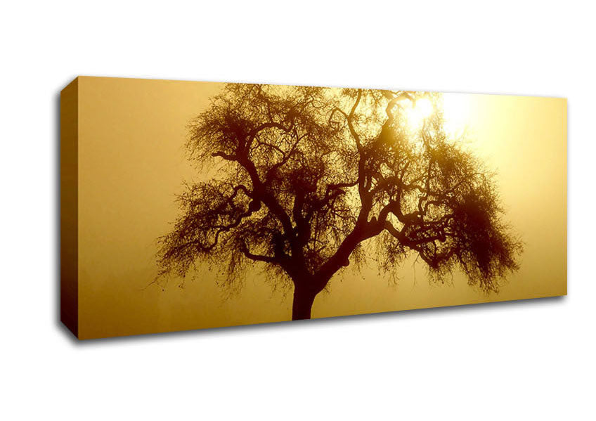 Picture of Early Morning Fog Tree Panoramic Canvas Wall Art