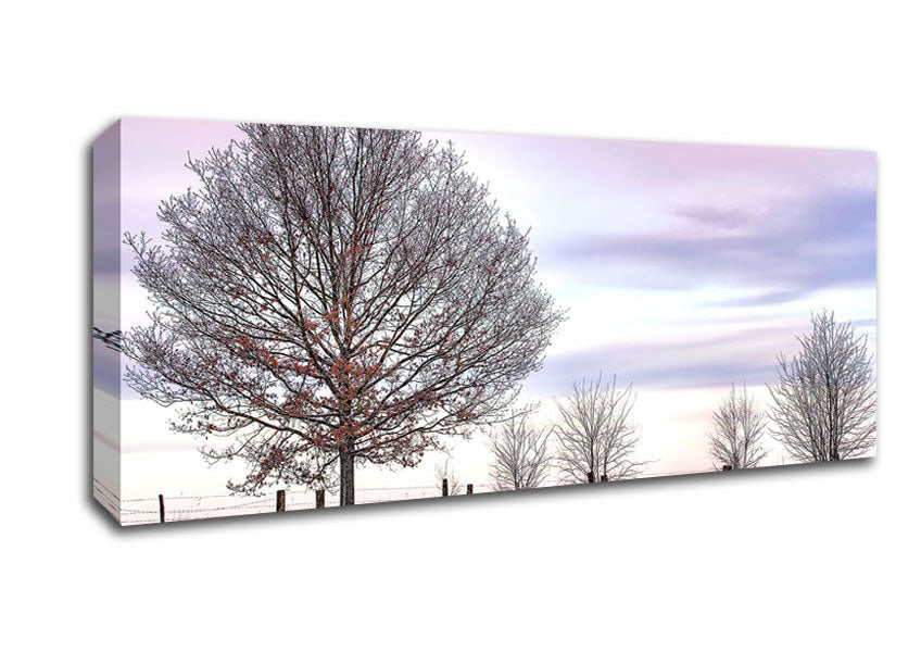 Picture of Trees And Fence Winter Panoramic Canvas Wall Art