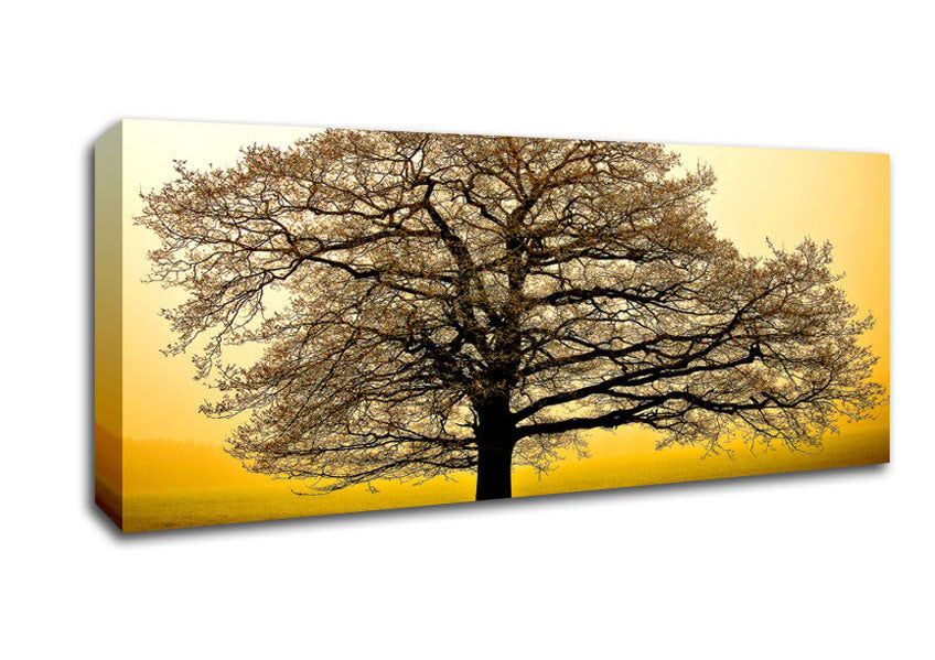 Picture of Beautiful Dusk Tree Panoramic Canvas Wall Art