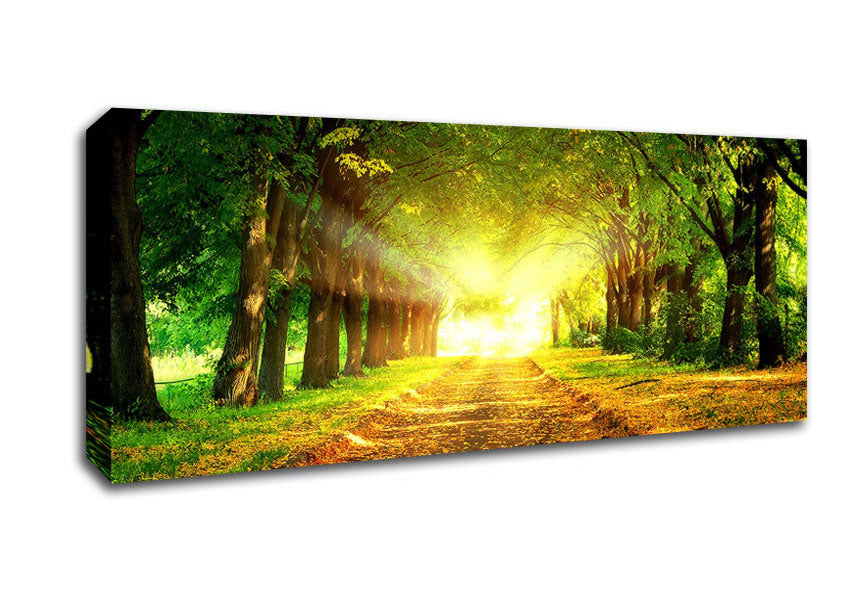 Picture of Autumn Path Panoramic Canvas Wall Art