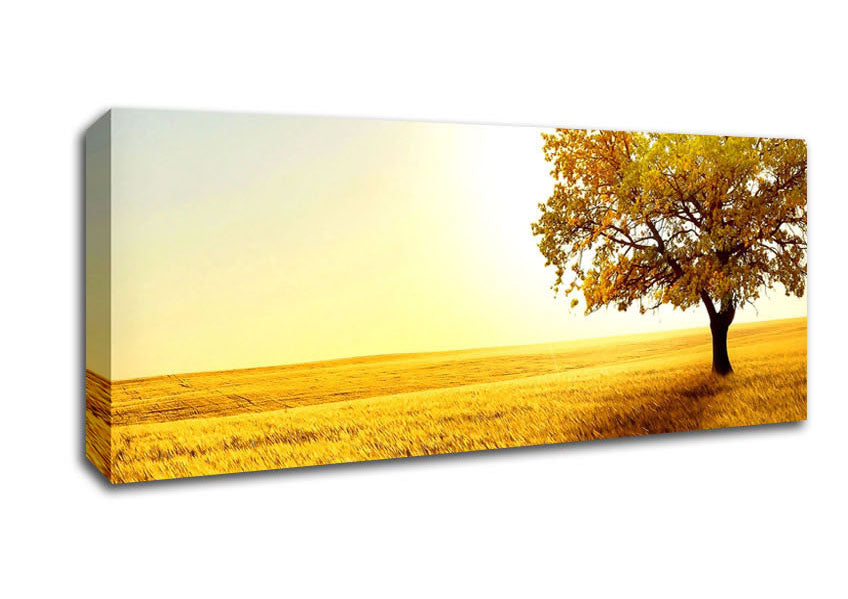 Picture of Golden Trees Fields Panoramic Canvas Wall Art