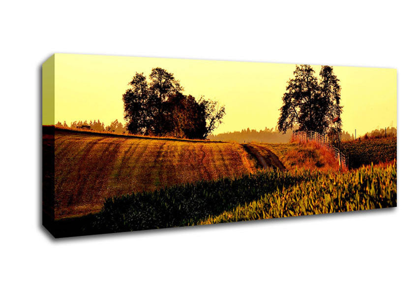 Picture of Summer Day Panoramic Canvas Wall Art