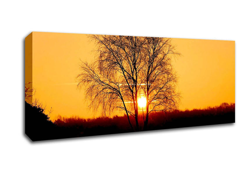 Picture of Sun Through The Golden Tree Panoramic Canvas Wall Art