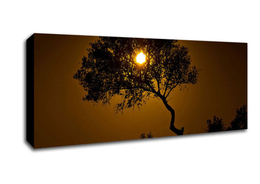 Picture of Chocolate Sunset Tree Panoramic Canvas Wall Art