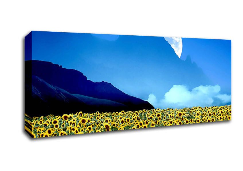 Picture of Field Of Illusions Panoramic Canvas Wall Art