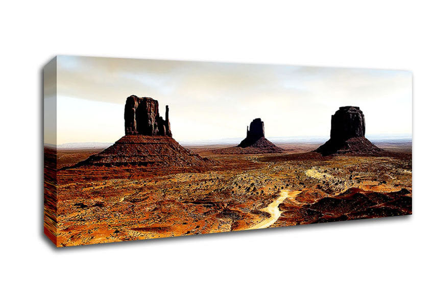 Picture of Monumental Simplicity Panoramic Canvas Wall Art