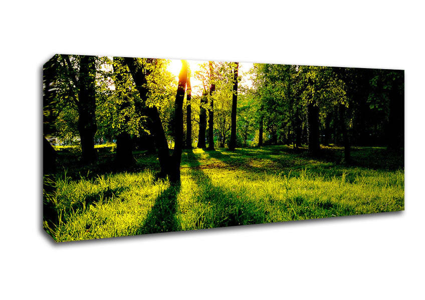 Picture of Paradise Panoramic Canvas Wall Art