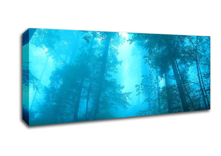 Picture of Foggy Forest Panoramic Canvas Wall Art