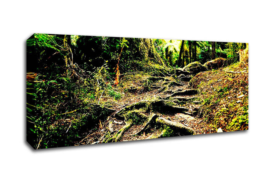 Picture of Roots Panoramic Canvas Wall Art