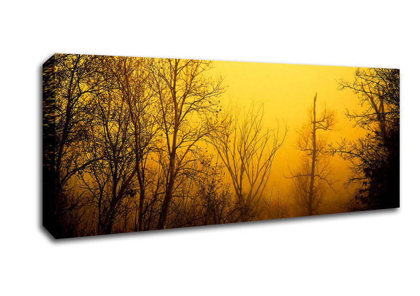 Picture of Stunning Golden Light In The Winter Forest Panoramic Canvas Wall Art