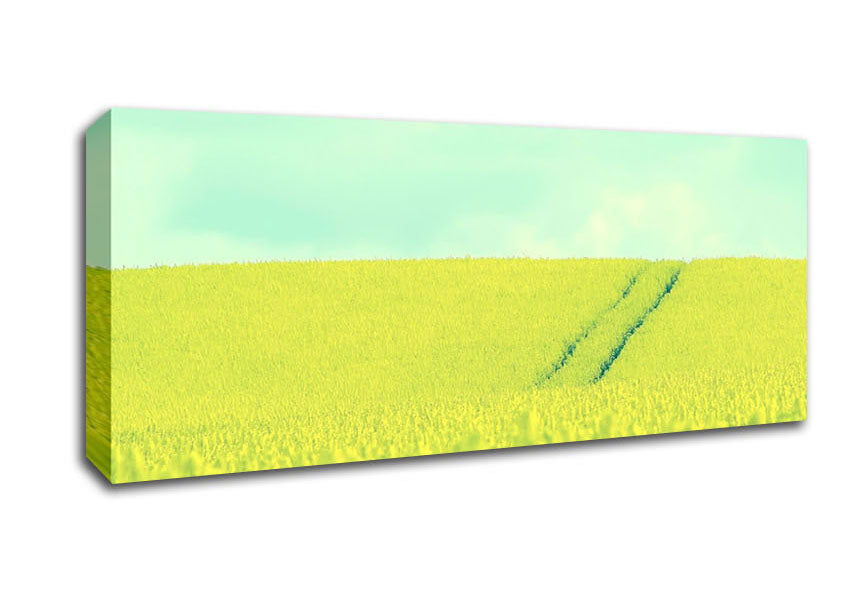 Picture of Beautiful Mustard Field Panoramic Canvas Wall Art