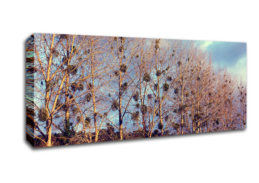 Picture of Bird Trees Panoramic Canvas Wall Art