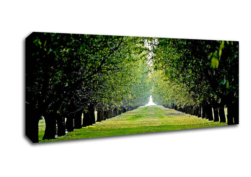 Picture of Orchard Panoramic Canvas Wall Art