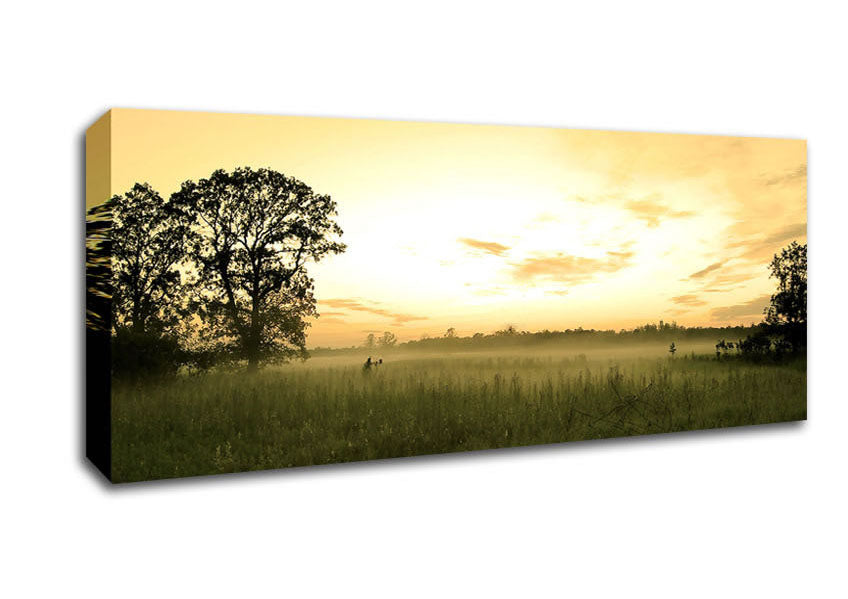 Picture of Summer Morning Mist Panoramic Canvas Wall Art