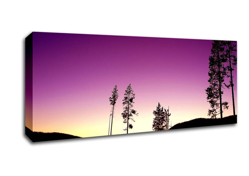 Picture of Purple Evening Panoramic Canvas Wall Art