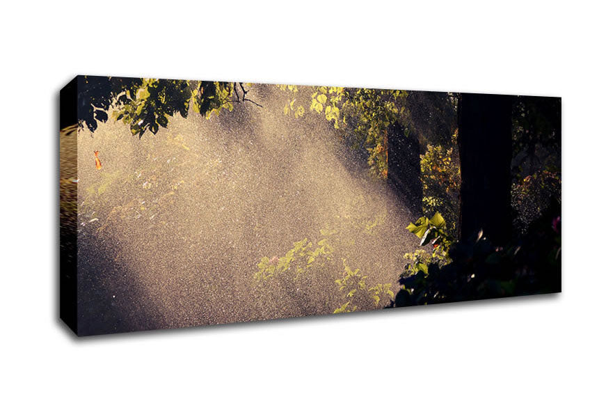 Picture of Summer Rain Forest Panoramic Canvas Wall Art