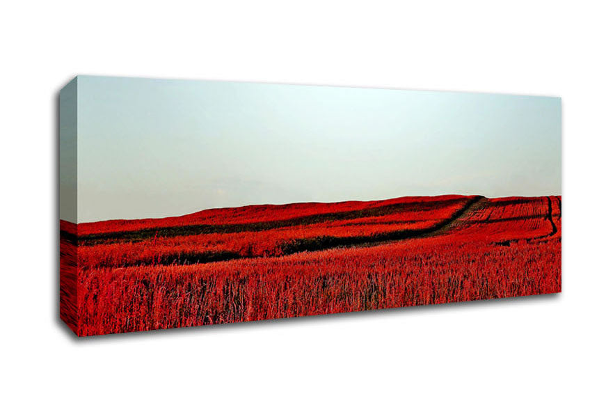 Picture of Red Meadow Panoramic Canvas Wall Art