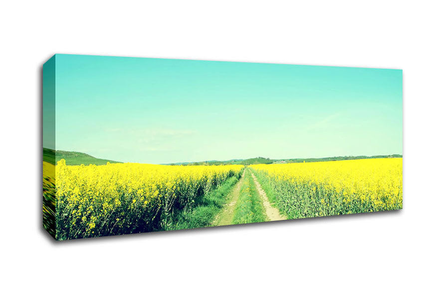 Picture of Field Road Panoramic Canvas Wall Art