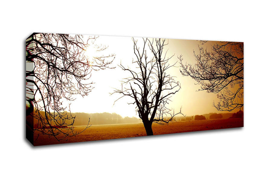 Picture of Chocolate Winter Tree Panoramic Canvas Wall Art