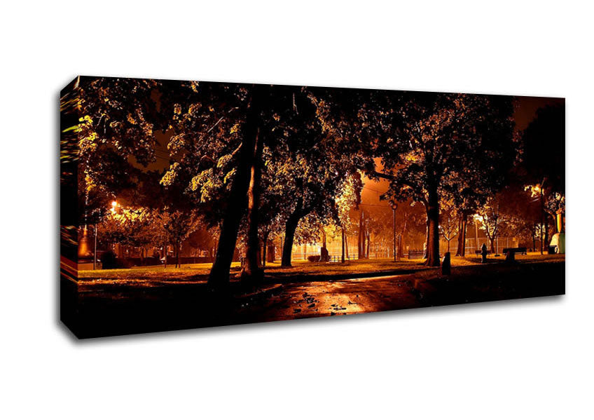 Picture of Park At Night City Panoramic Canvas Wall Art