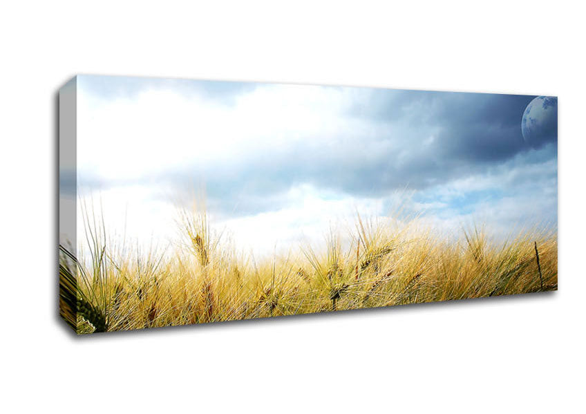 Picture of Dreamy Fields Panoramic Canvas Wall Art