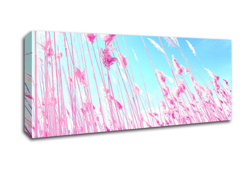 Picture of Grass On Beach Panoramic Canvas Wall Art