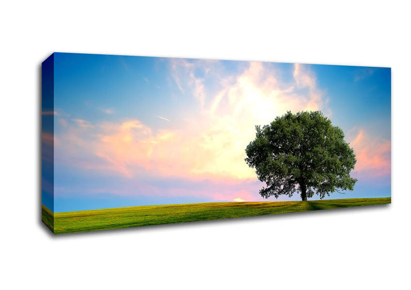 Picture of Fresh Nature Panoramic Canvas Wall Art