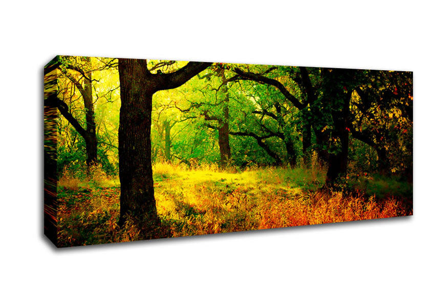 Picture of Autumn Wonderland Panoramic Canvas Wall Art