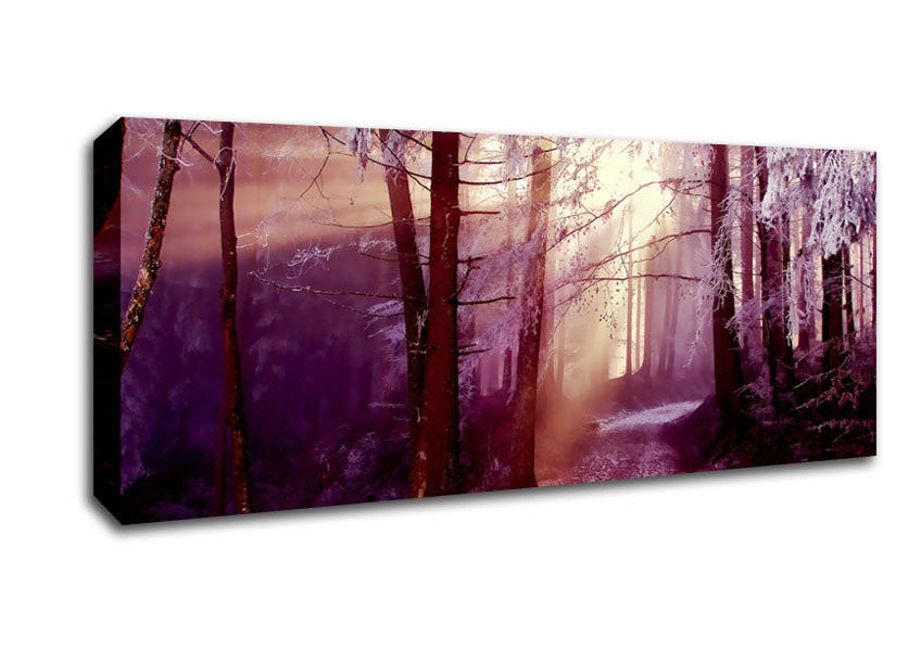 Picture of Winter Woodland Sunbeam Panoramic Canvas Wall Art