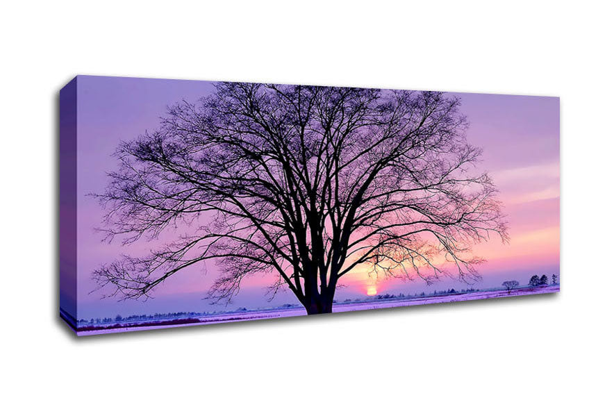 Picture of Sunrise In The Purple Winter Panoramic Canvas Wall Art