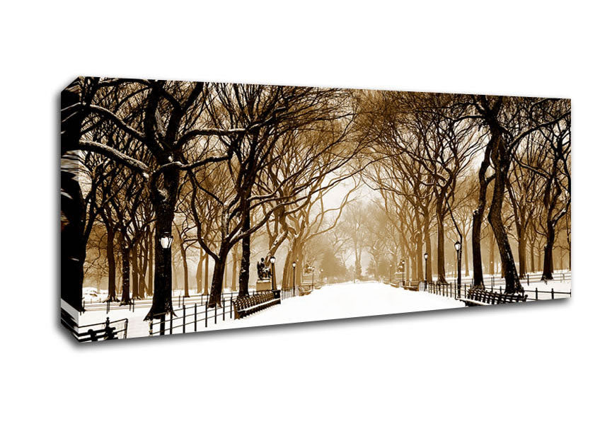 Picture of Winter Park Sepia Panoramic Canvas Wall Art