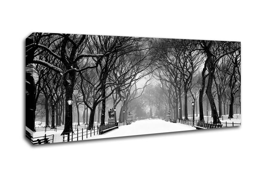 Picture of Winter Park B n W Panoramic Canvas Wall Art