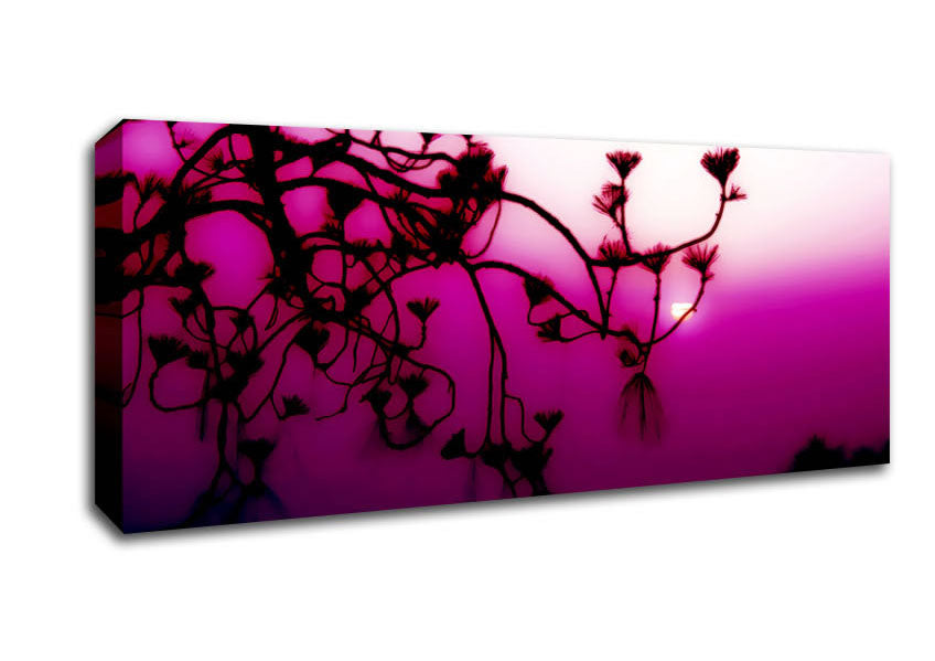 Picture of Pink Haze Panoramic Canvas Wall Art