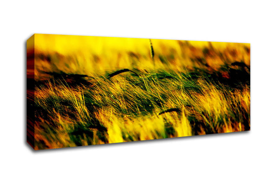 Picture of Wheatfield Yellow Panoramic Canvas Wall Art