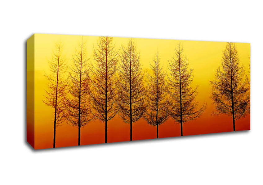 Picture of Isolation Panoramic Canvas Wall Art