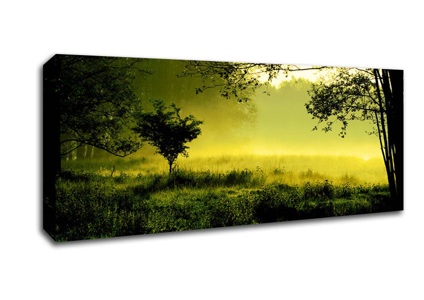 Picture of Countryside Mist Panoramic Canvas Wall Art